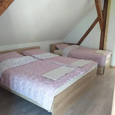 Apartma Sveti Duh Nova Vas  Exterior photo