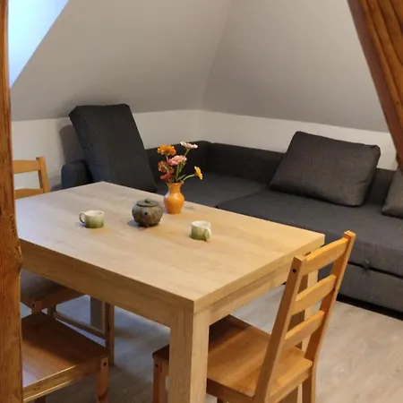 Apartma Sveti Duh Nova Vas  Exterior photo