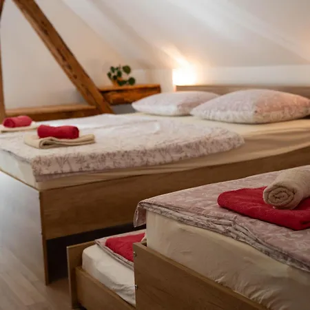 Apartma Sveti Duh Nova Vas  Room photo