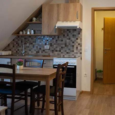 Apartma Sveti Duh Nova Vas  Room photo